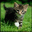   phpbook